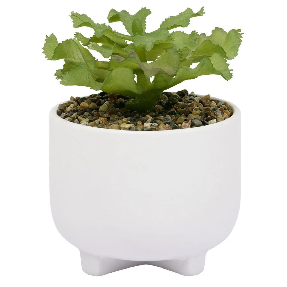 Plante artificielle pot céramique blanc