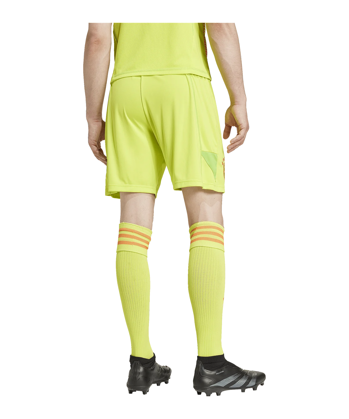 adidas FC Bayern München Torwartshort 2024/2025 Gelb
