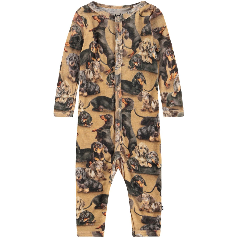 Køb Molo Dachshunds Fahari Uld Bodysuits Jersey