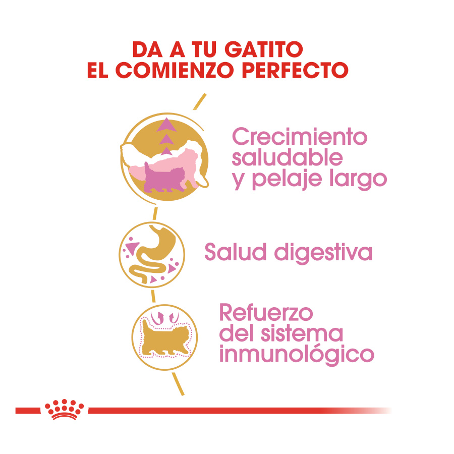 Ração para gatos Royal Canin Kitten Persia