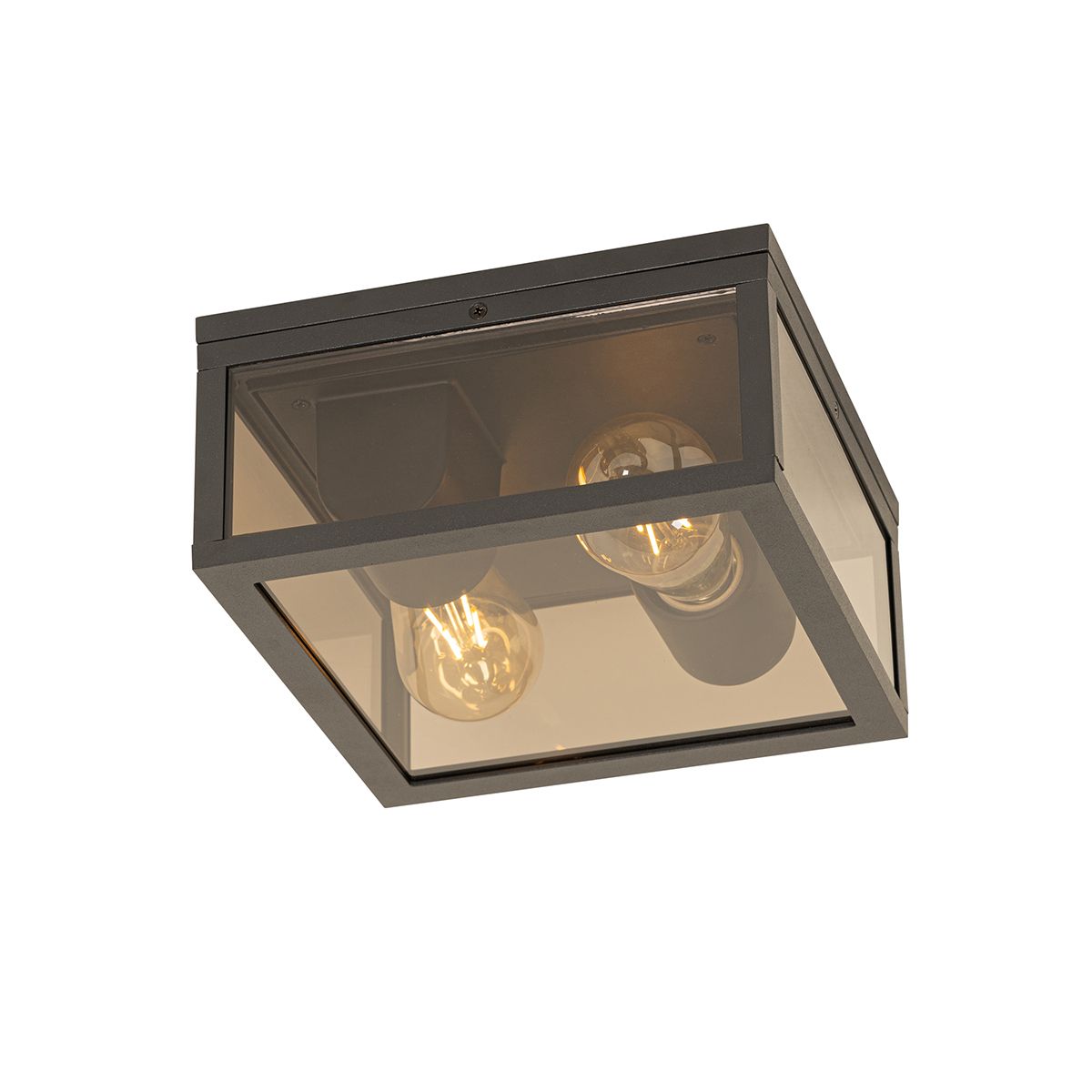 Plafondlamp zwart met smoke glas 2-lichts IP44 - Charlois