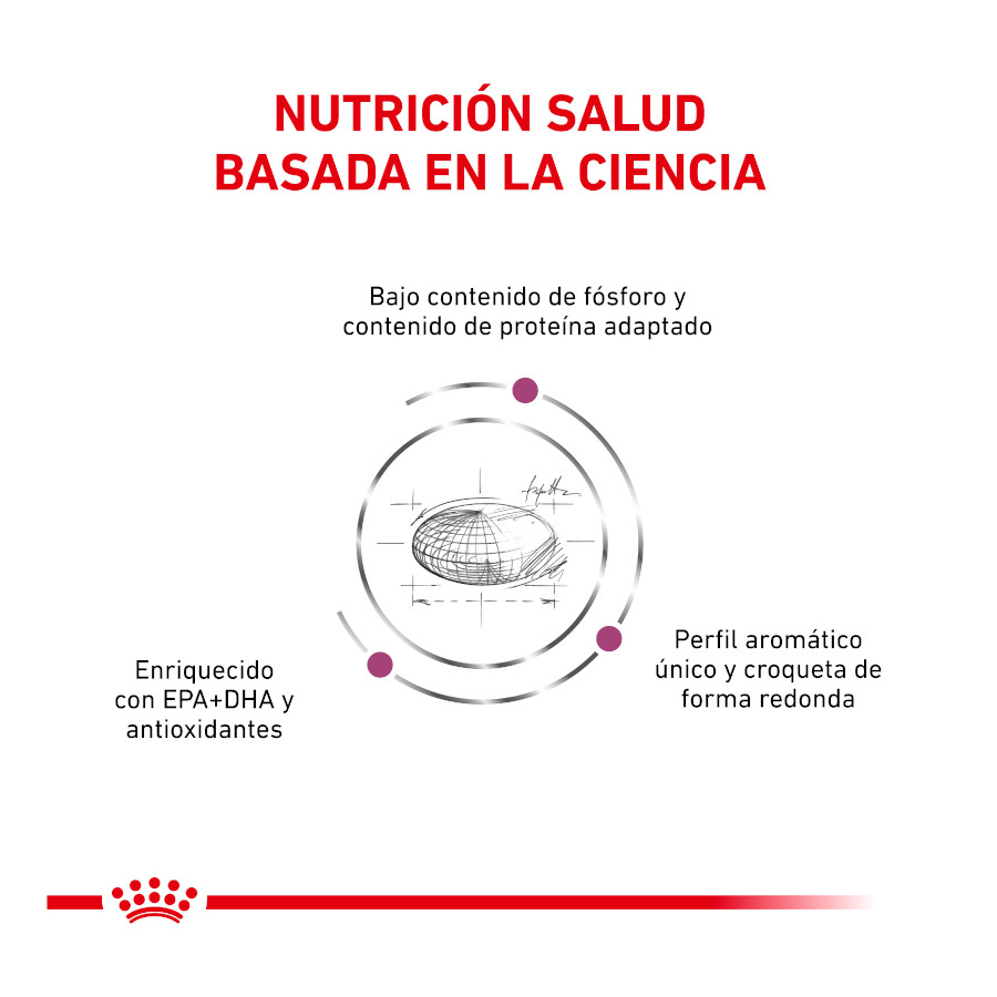 Ração Royal Canin Veterinary Renal para gatos