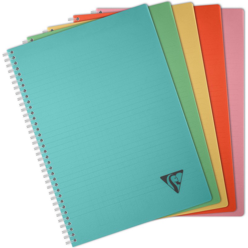 Carnet spirale Linicolor Essence A4 21 x 29,7 cm grands carreaux - 180 pages