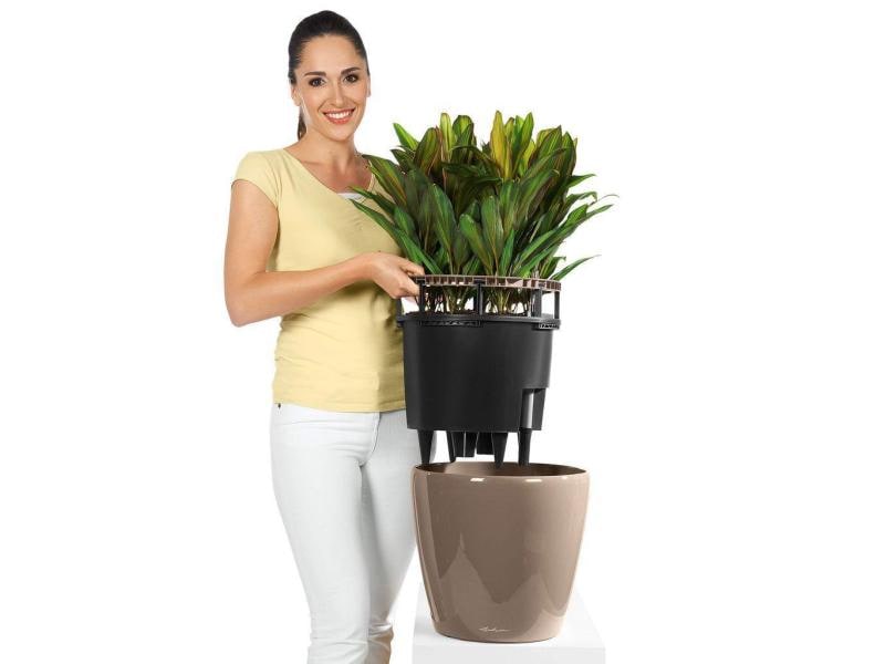 Lechuza Pflanzentopf Classico Premium 21 LS Schwarz Topf