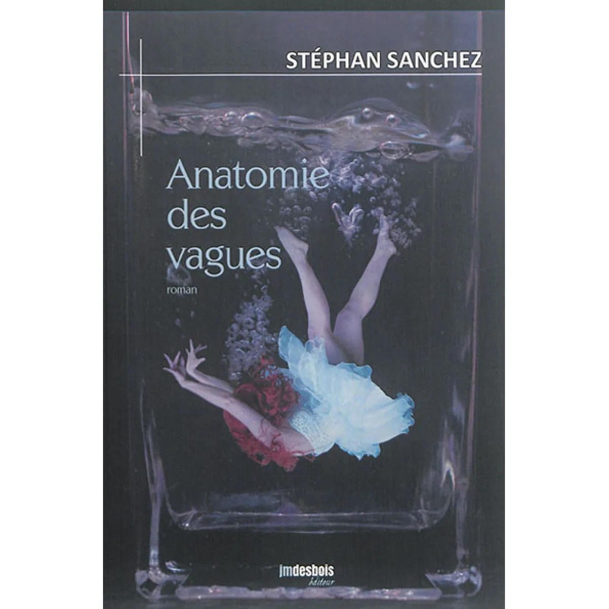 Anatomie des vagues · Occasion