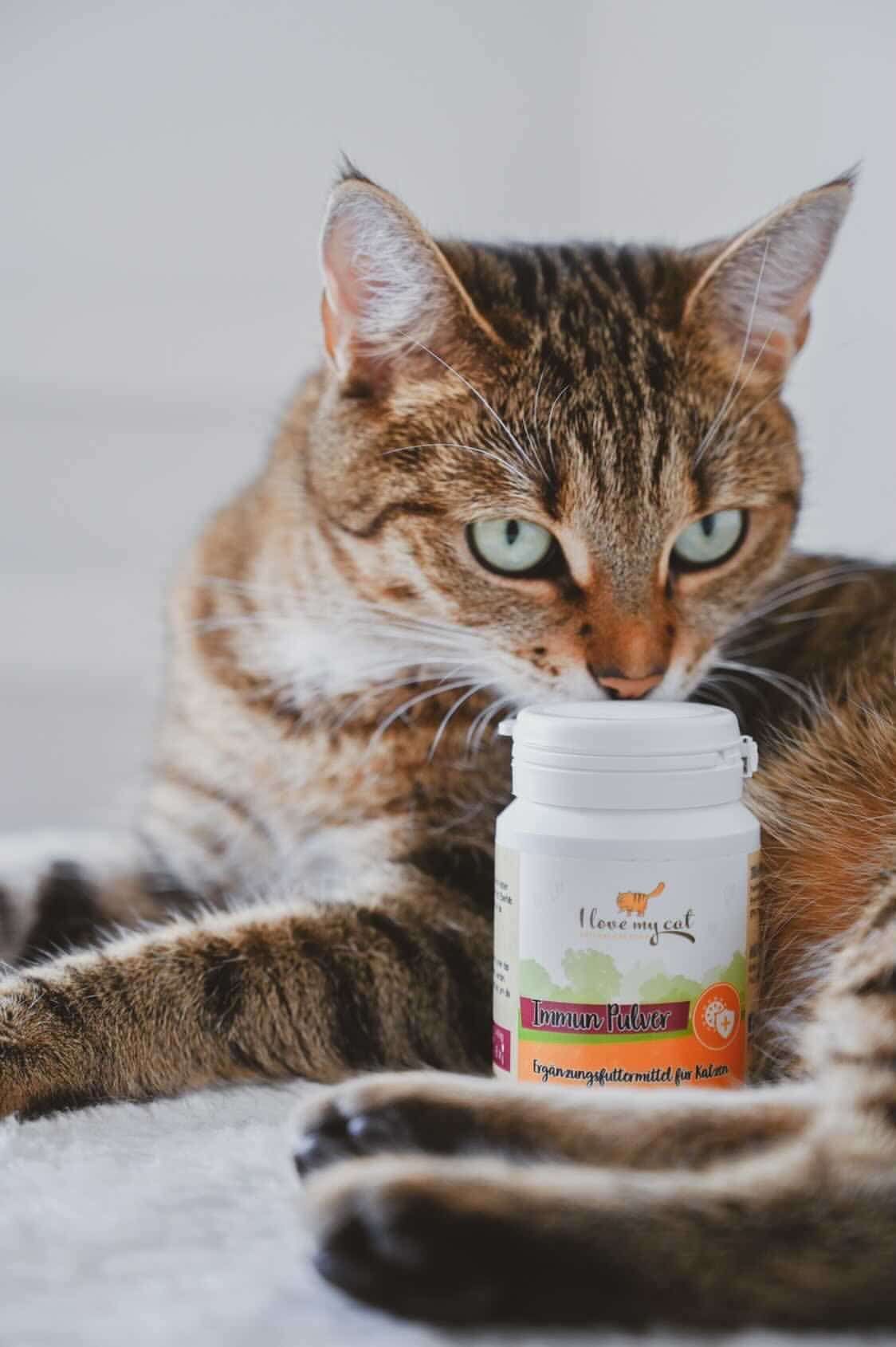 I love my cat Nahrungsergänzung für Kätzchen - Immun Kitten Pulver