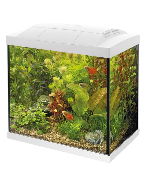 Superfish Aquarium Start 50 Tropical Kit Retro Led 39 l - Aquaria