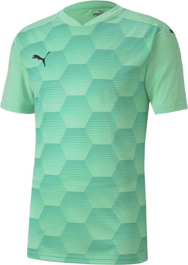 Puma Teamfinal 21 Graphic T-shirt Grøn