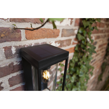 Lutec solar buitenwandlamp Flair met dag/nacht en bewegingssensor