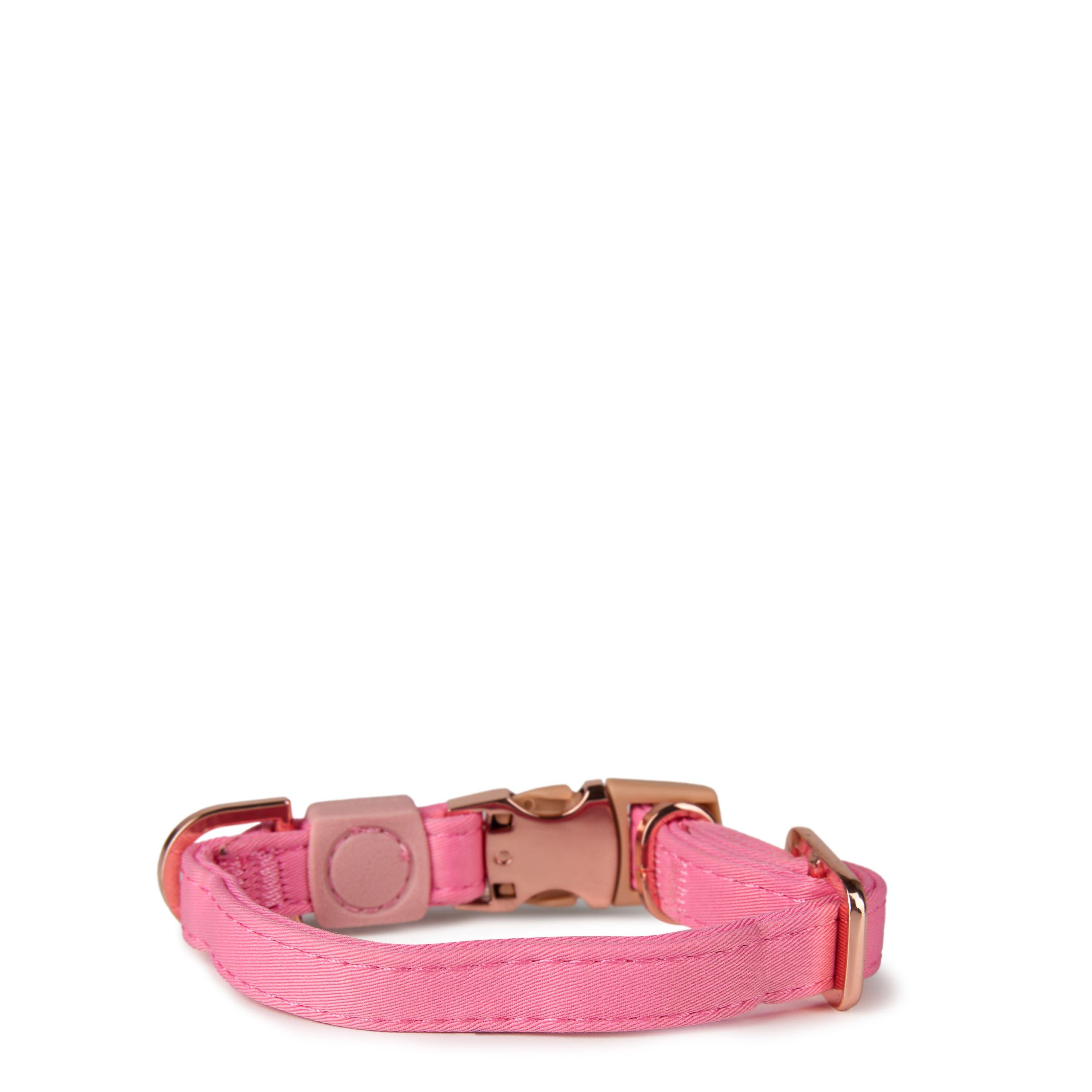 Weatherbeeta WB Elegance Dog Collar