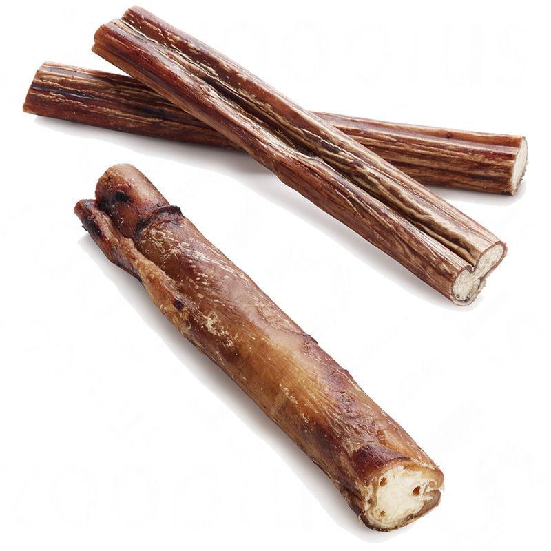 Cimiers de bœuf
