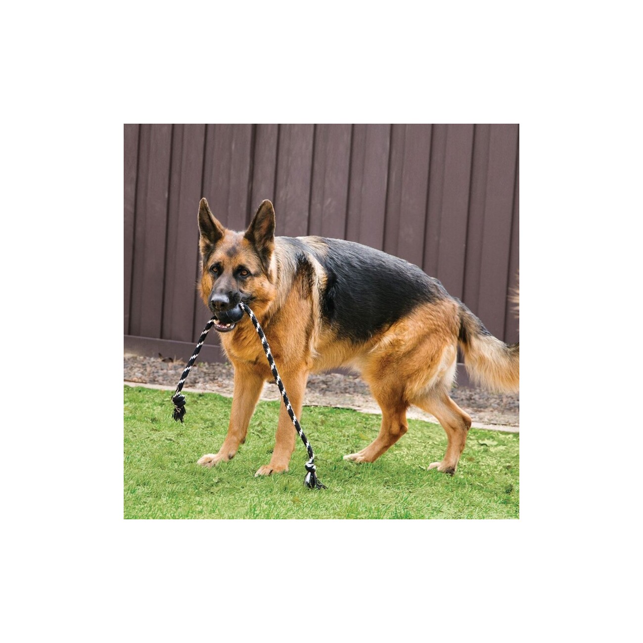 KONG Extreme Ball mit Tau