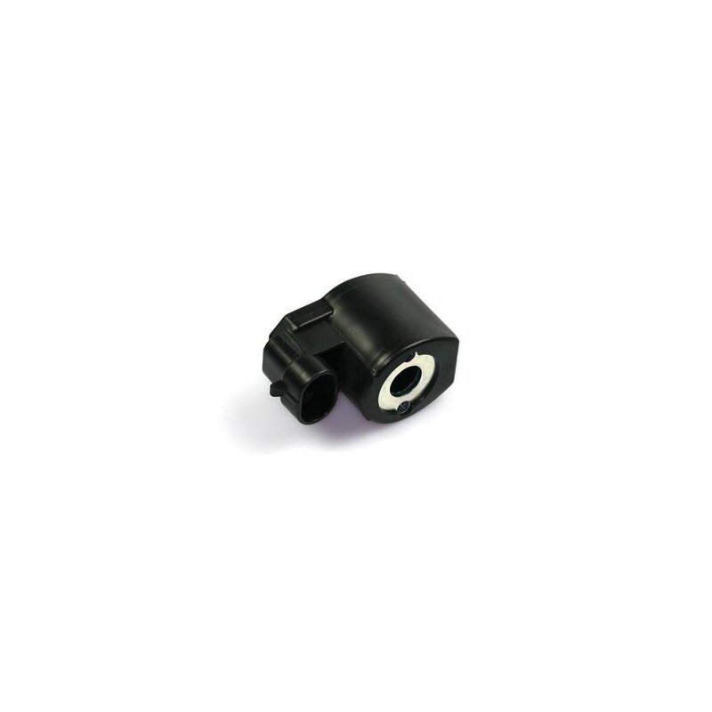 Bigas Magnetspule 12V 11W (Multiventil)