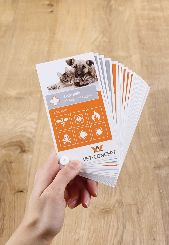 Vet-Concept Erste-Hilfe-Fücher für Hund und Katze