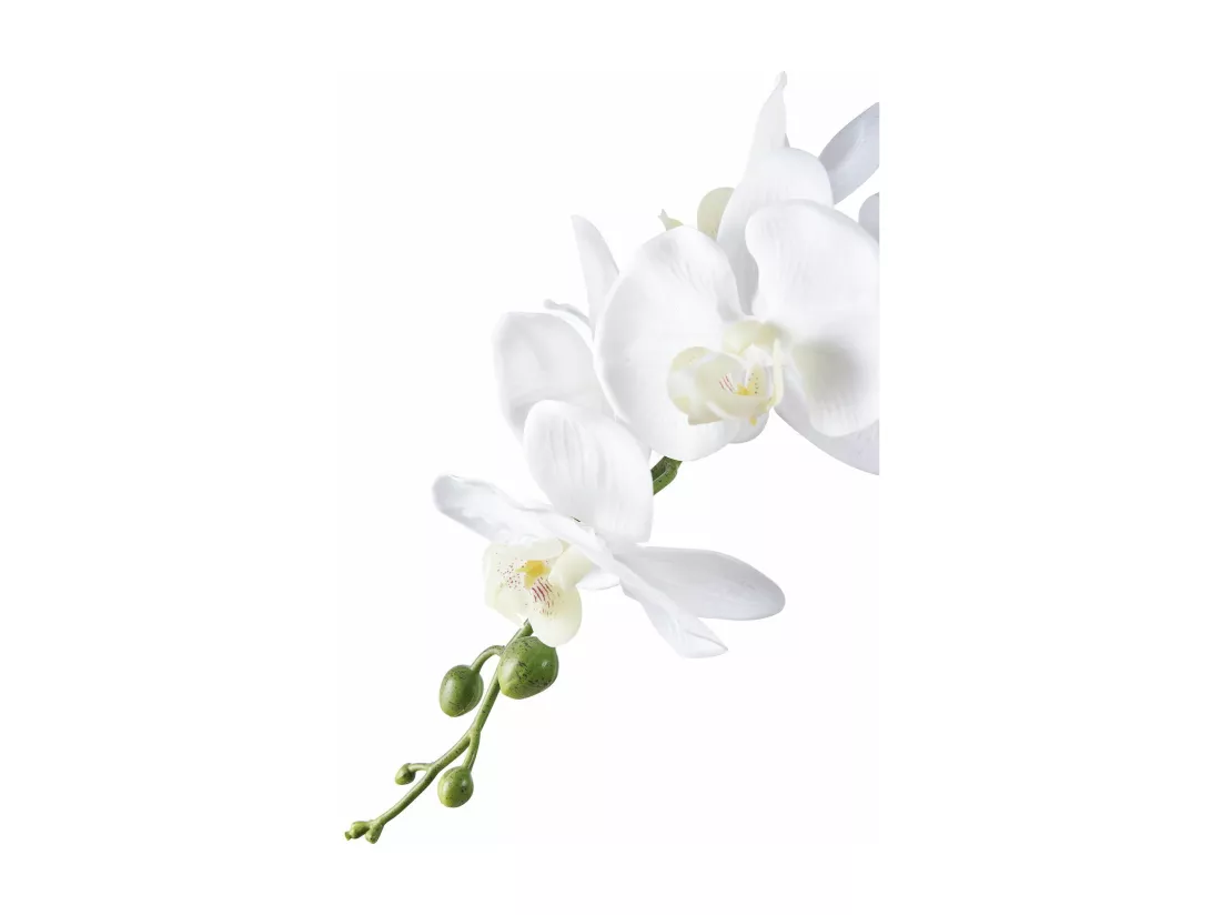 Plante artificielle Orchidée verte et blanche 49 cm