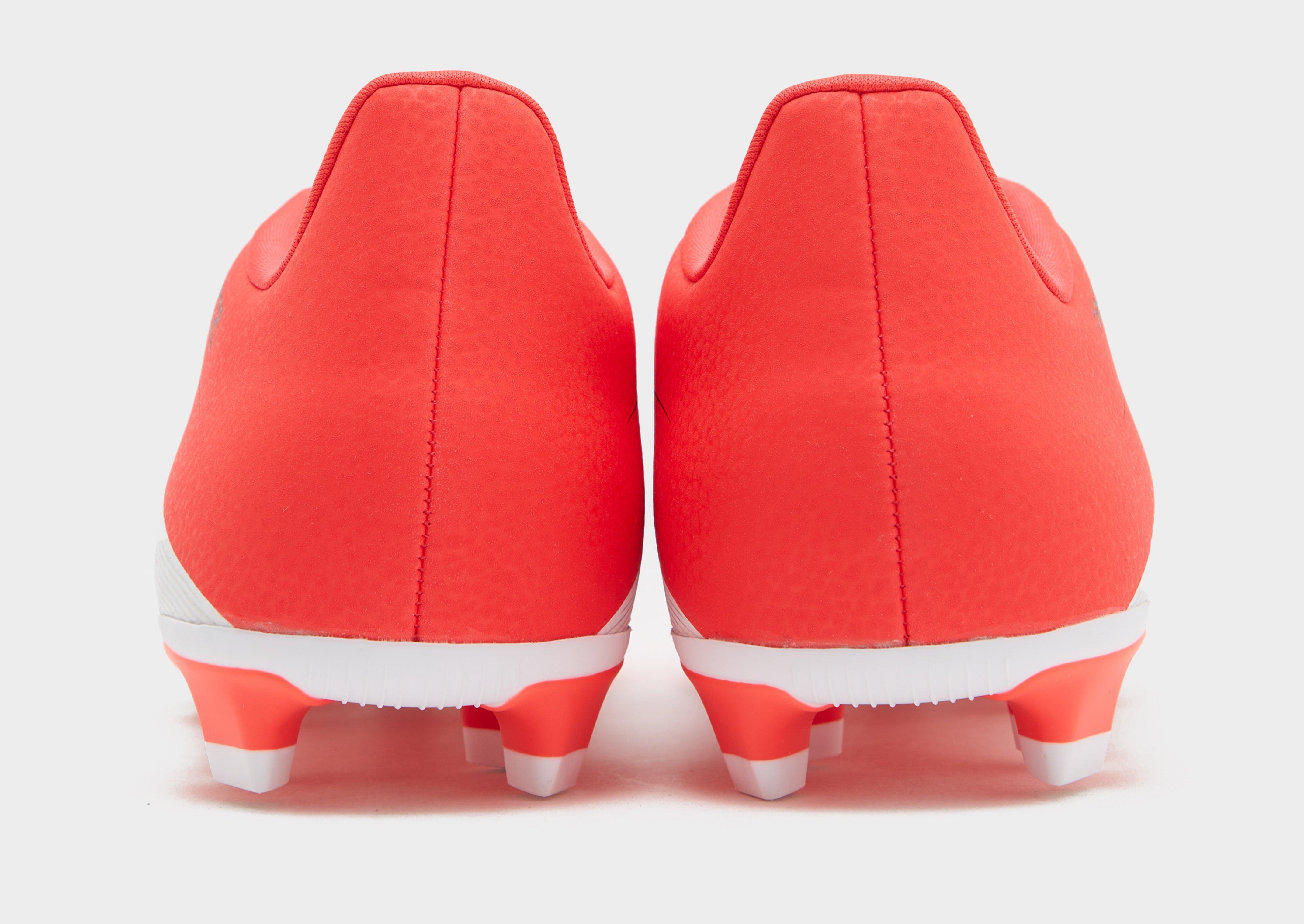 adidas Predator Club FG Homme