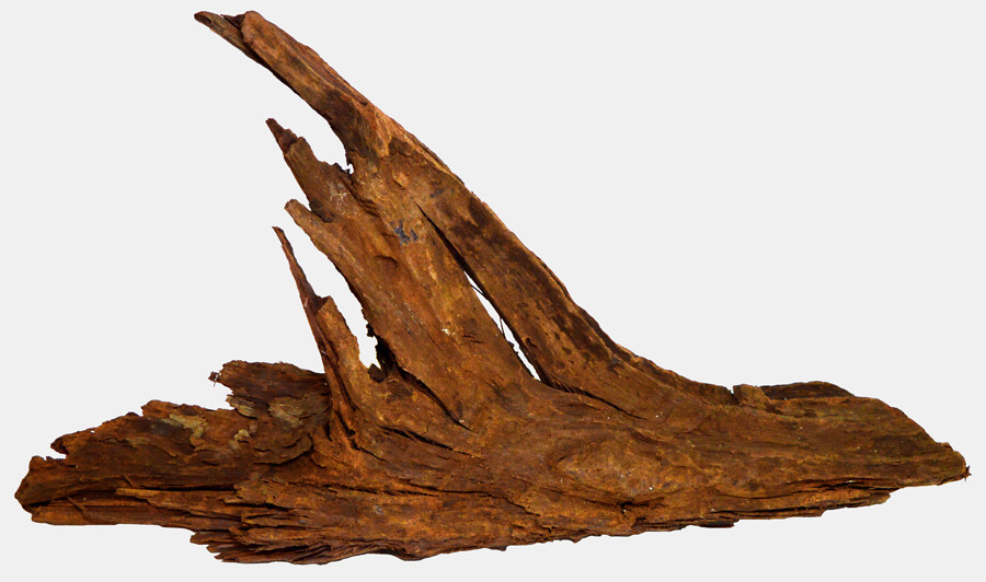 Superfish Driftwood XS 12-18cm