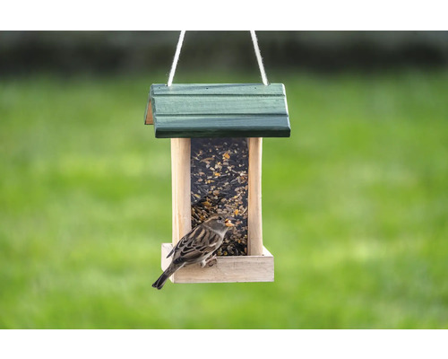 CJ Wildlife Wild Bird Food - Strooivoer voor vogels met insecten - Het hele jaar door