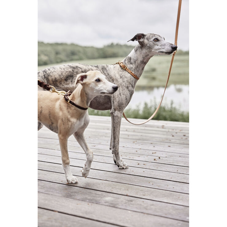 OYOY Living Design Robin Hundehalsbånd - Medium Choko