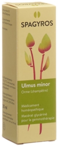 SPAGYROS GEMMO Ulmus minor Glycerinmazerat D1, 30 ml