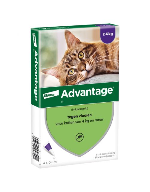 Advantage Kat 4 pip - Anti vlooienmiddel