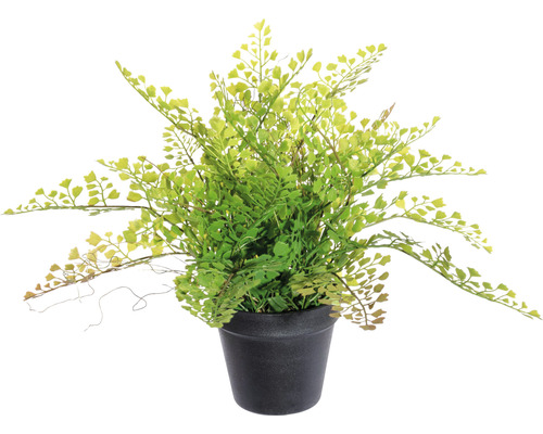 Kunstplant Adianthum varen, hoogte: 40 cm, groen