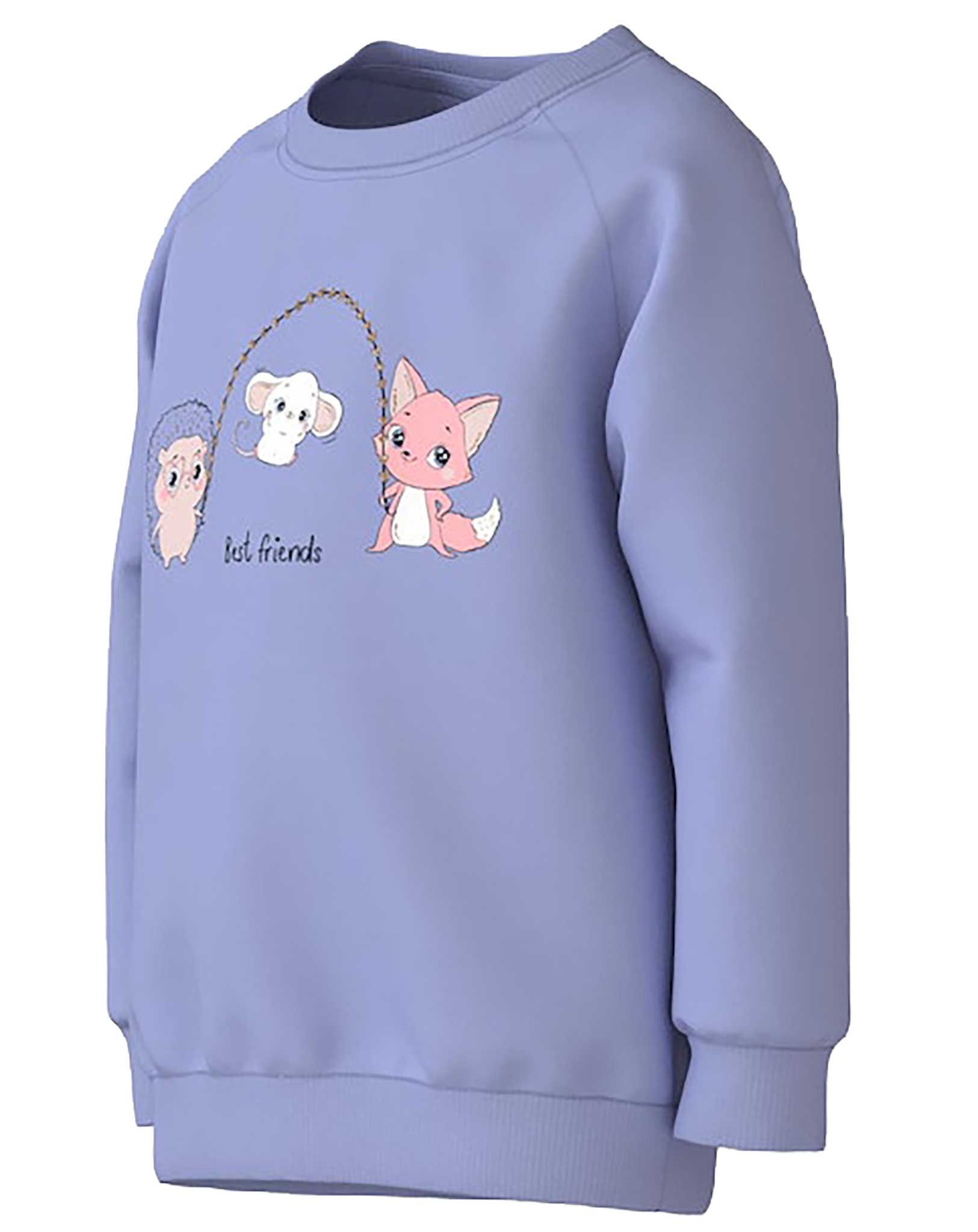 Sweatshirt NMFVENUS BEST FRIENDS in easter egg