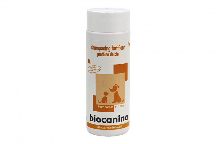 Shampooing fortifiant protéine blé 200ml