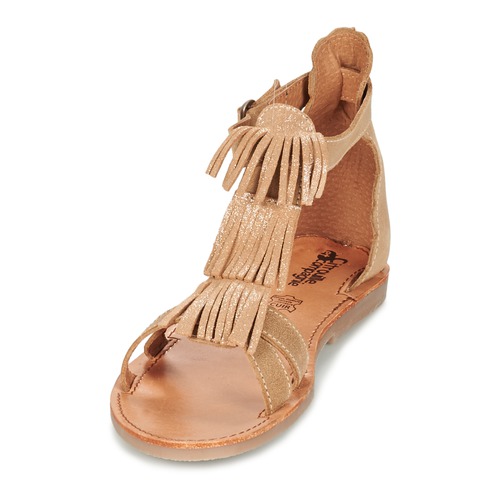 Citrouille et Compagnie - GAMELA - Camel