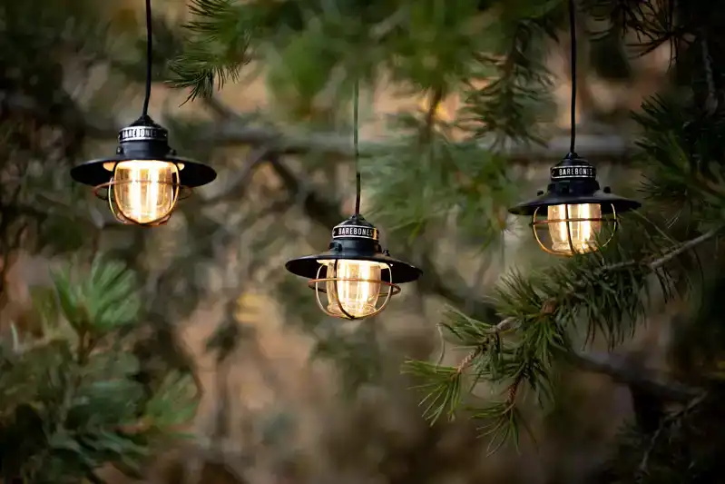 Edison String Lights