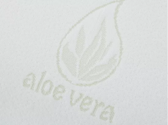 Oreiller mémoire de forme DOUCEUR d' ALOE VERA de NATUREA - 60 x 60 cm