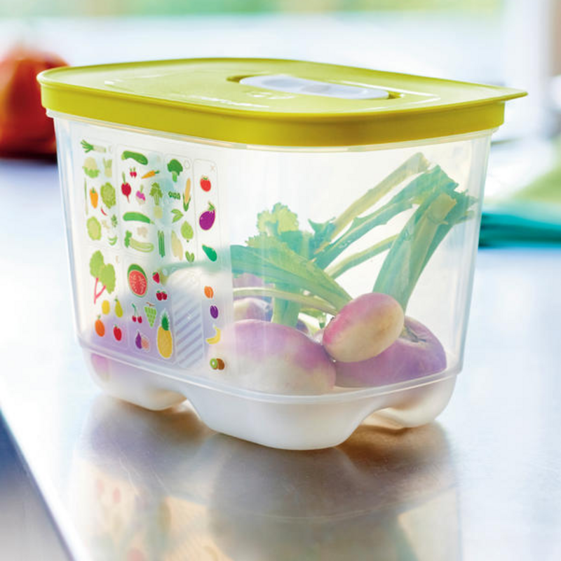 KlimaOasen-Set (5) Grundausstattung zum Frischhalten von Gemüse, Obst und Kräuter