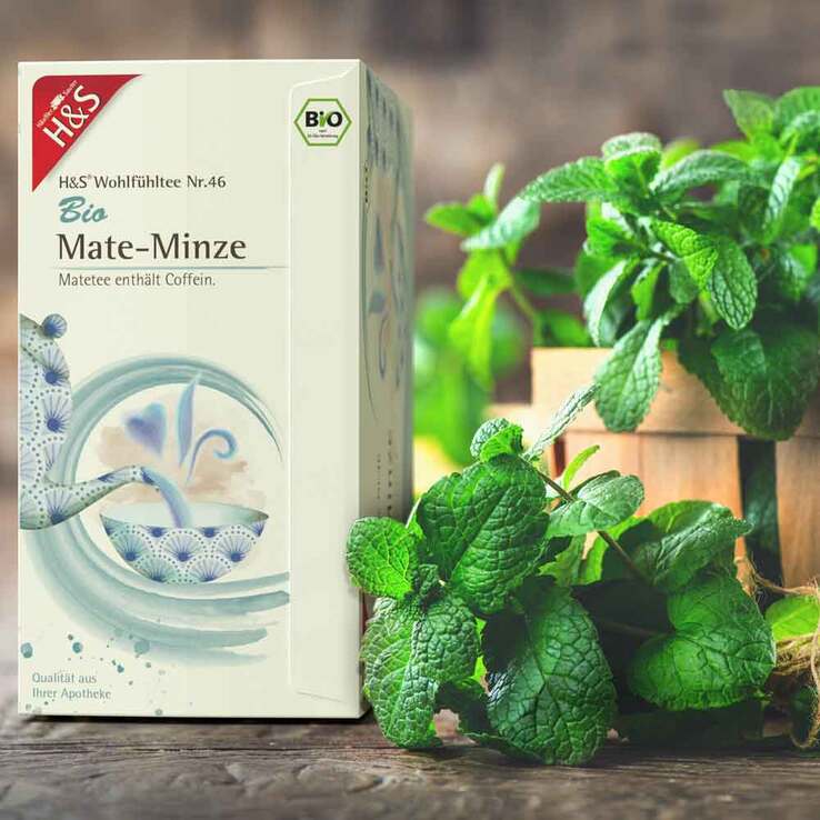 H&S Bio Mate-Minze Filterbeutel, 20X1.8 g