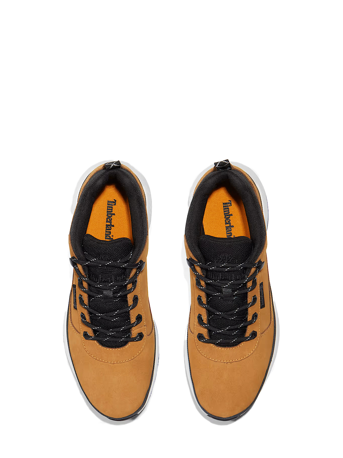 Timberland Field Trekker Trainer