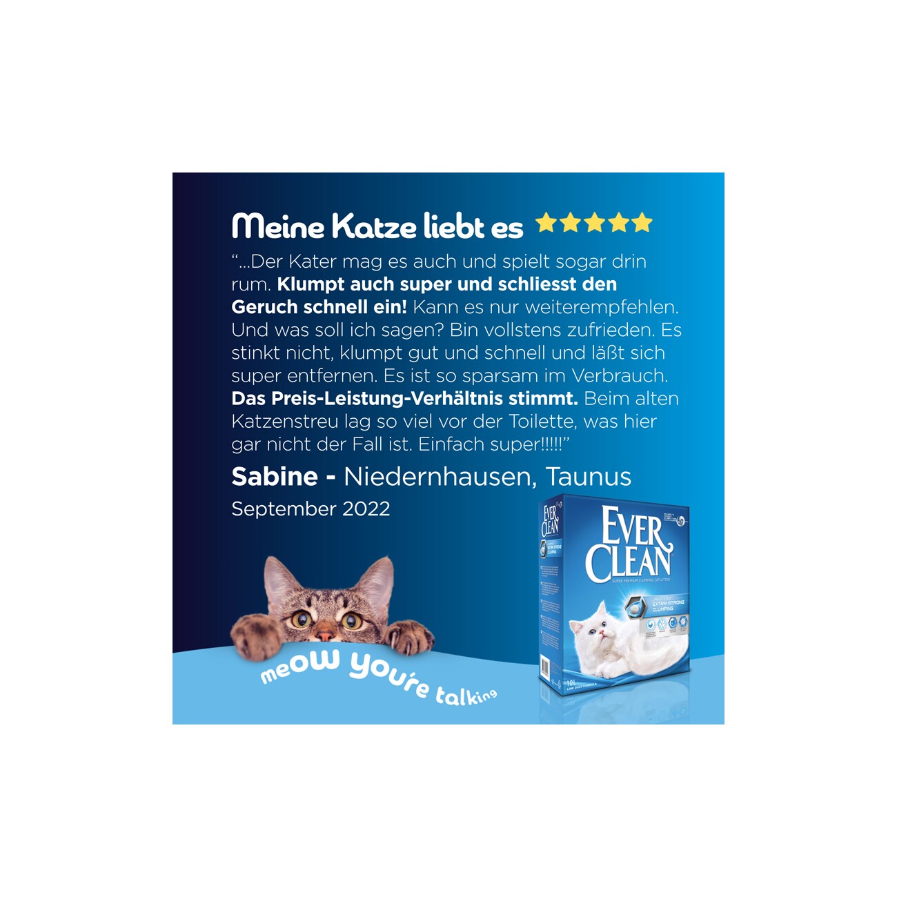 Ever Clean Extra Strong Clumping Katzenstreu, ohne Duft 10 l