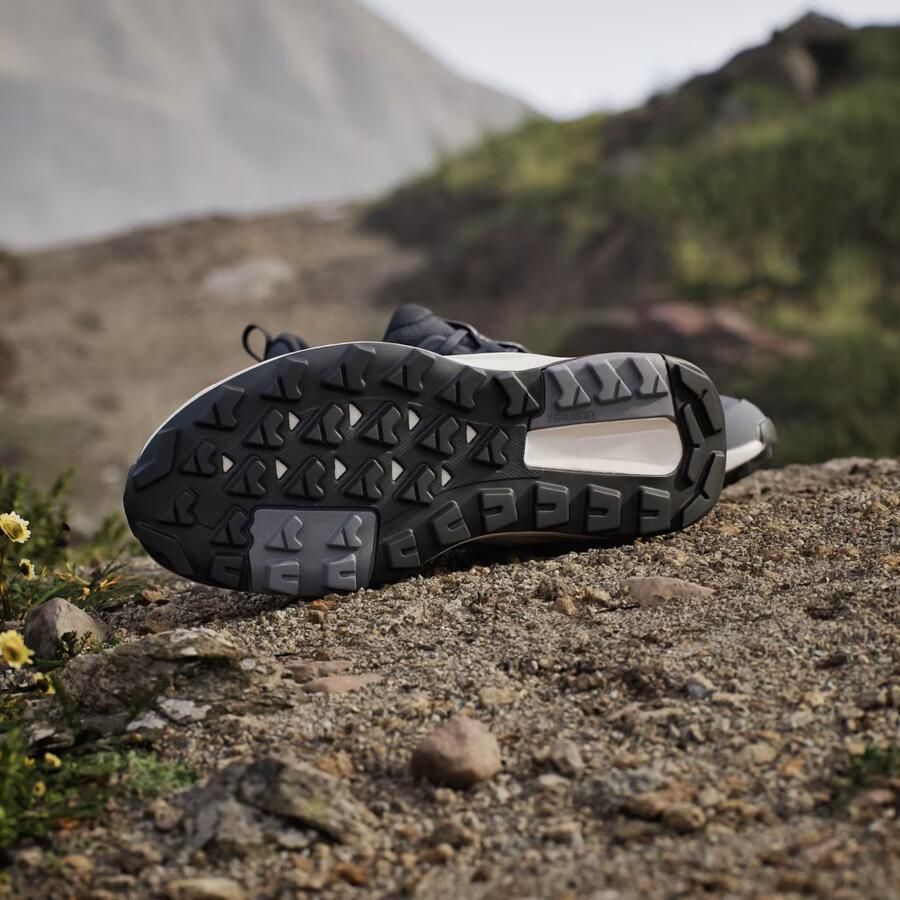 ADIDAS TERREX Lage schoen 'Anylander' donkergrijs zwart wit