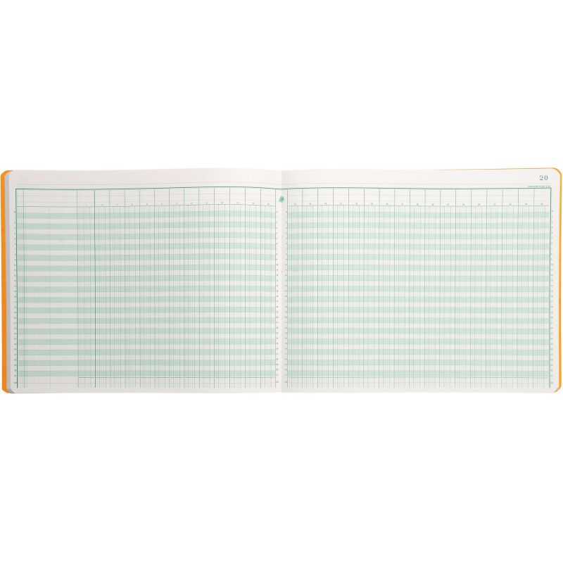 Registre 30 colonnes Exacompta 6300E, 32 x 25 cm 80 pages