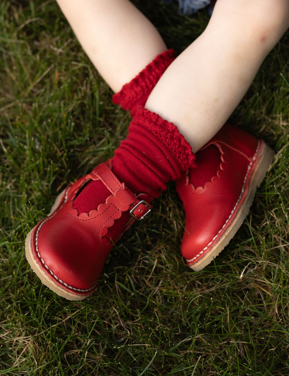 T-Bar Scallop - Poppy