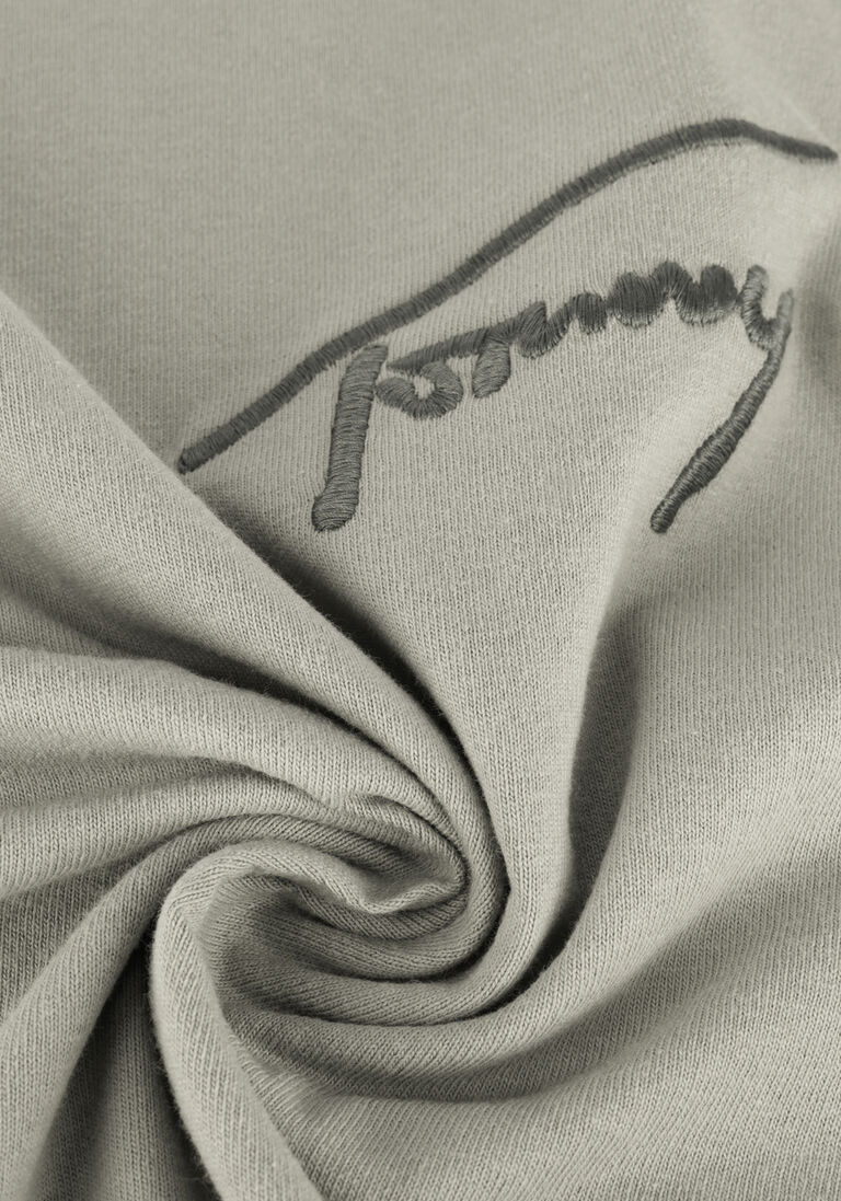 TOMMY JEANS beige tommy jeans t-shirt tjm tommy signature tee