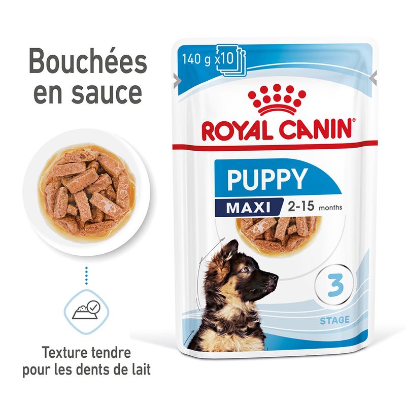 Royal Canin Maxi Puppy en sauce