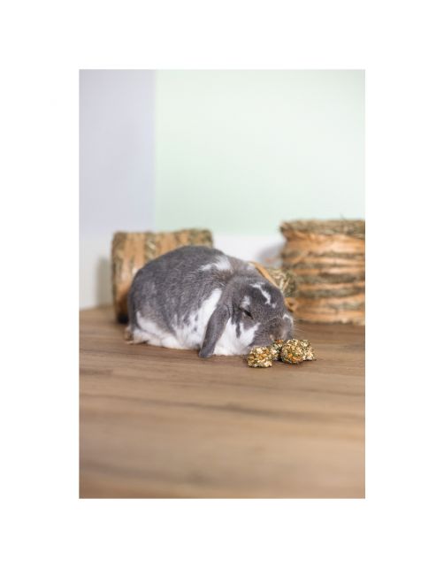 Beeztees Cones - Knaagdiersnack - Wortel Mais à 10 stuks