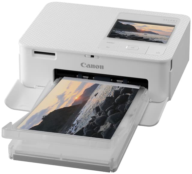 Canon SELPHY CP1500 kompakt fotoprinter (hvid)