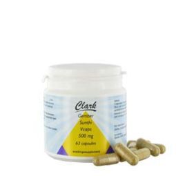Holisan Gember/sunthi 500 mg 63cap