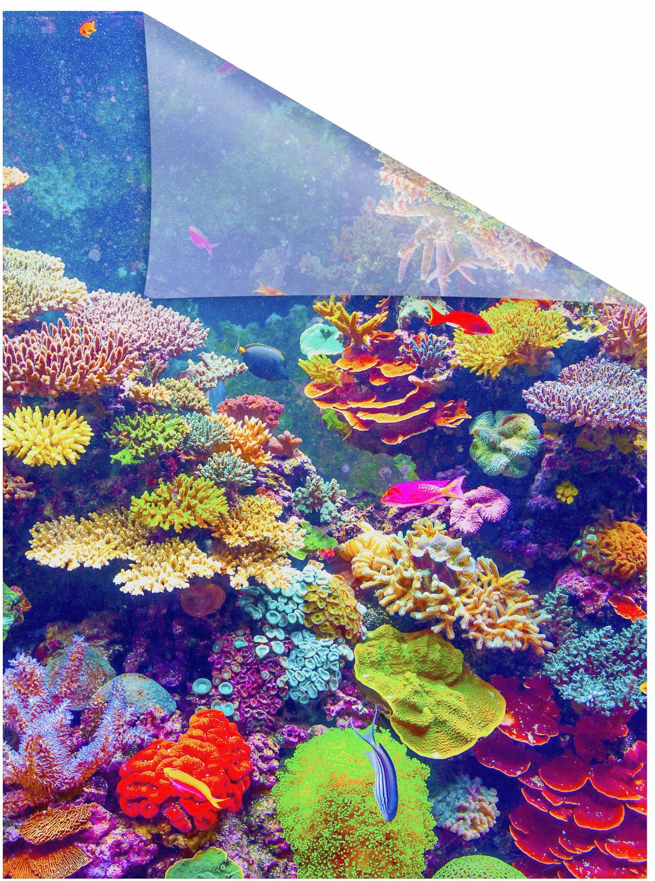 LICHTBLICK ORIGINAL Fensterfolie »Aquarium« 1 Stk. blickdicht strukturiert Klebepunkte selbstklebend, Sichtschutz