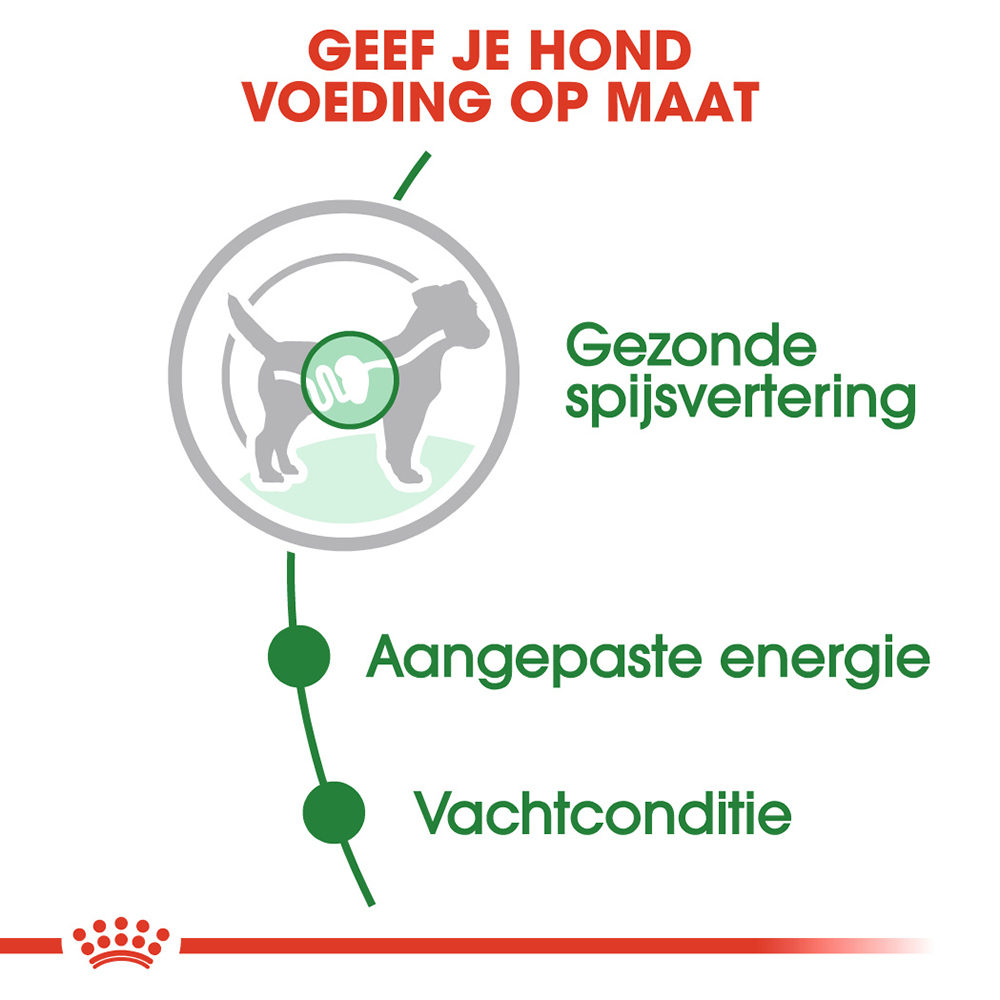 Royal Canin Mini Adult Wet - Hondenvoer