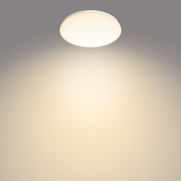 Philips LED plafondlamp Moire 17W 2700K