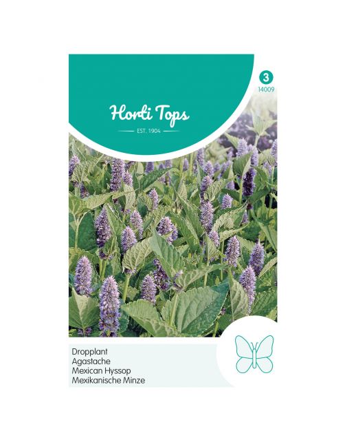 Hortitops Agastache - Dropplant (Mexicana) - Bloemenzaden - 400 g