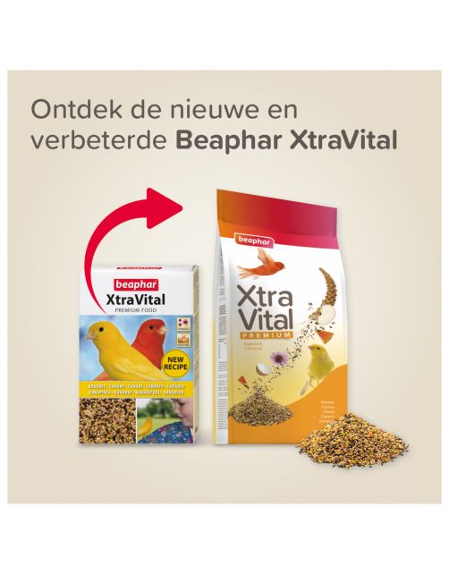 Xtra Vital Kanarievoer - Vogelvoer - 500 g