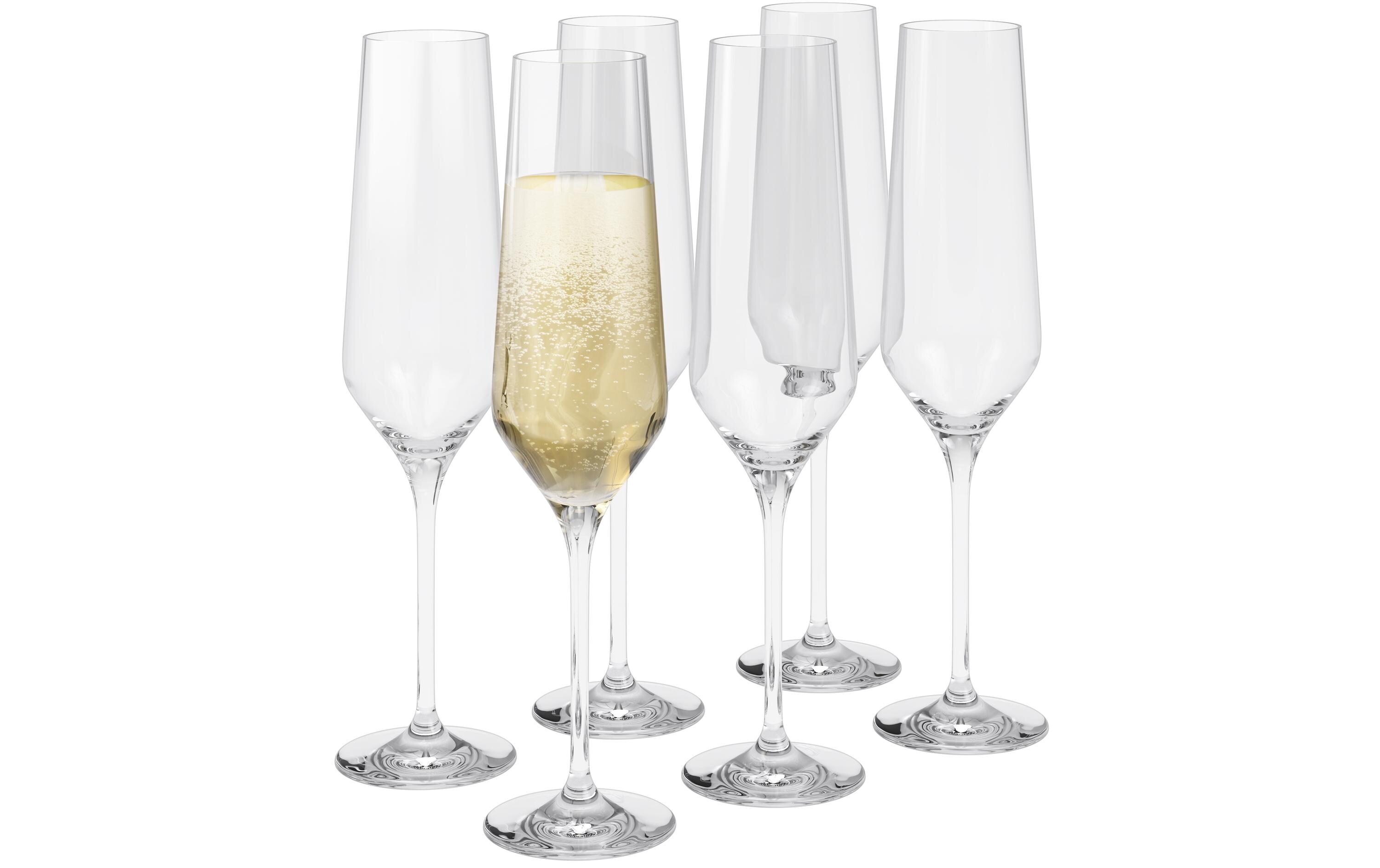 Champagnerglas Legio Nova 260 ml, 6 Stück, TransparentChampagnergläser Set