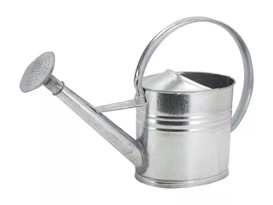 Arrosoir en zinc 10 litres
